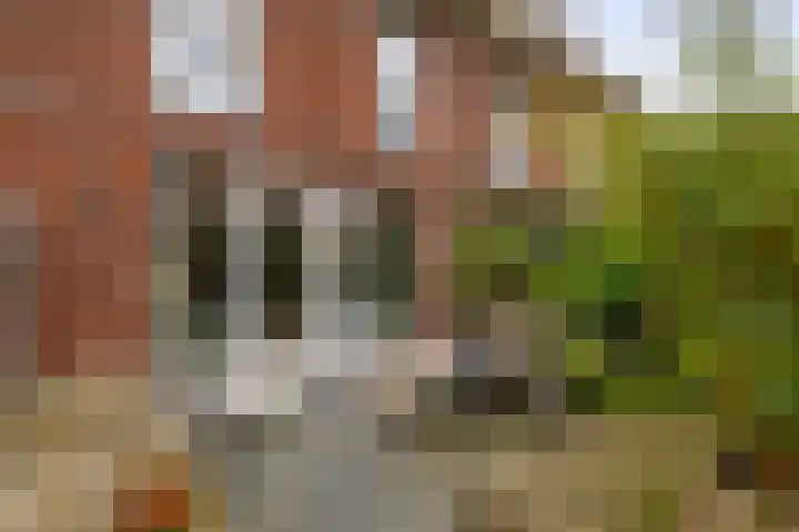 Noordzeestraat 53 Utrecht thumbnail 20