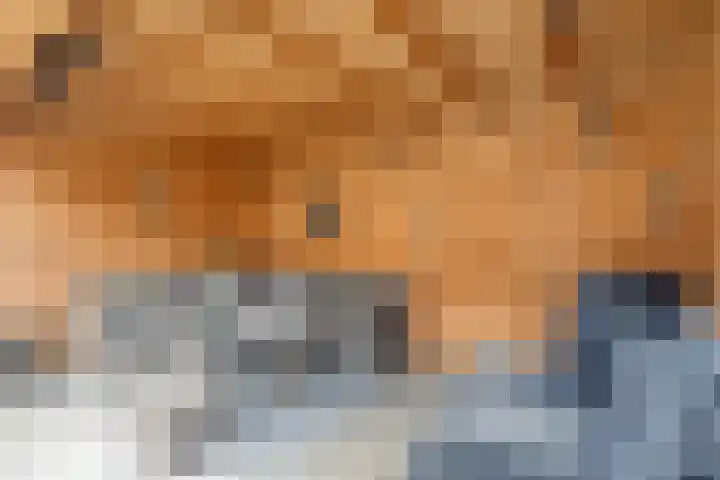 Noordzicht 19 Abbekerk thumbnail 28