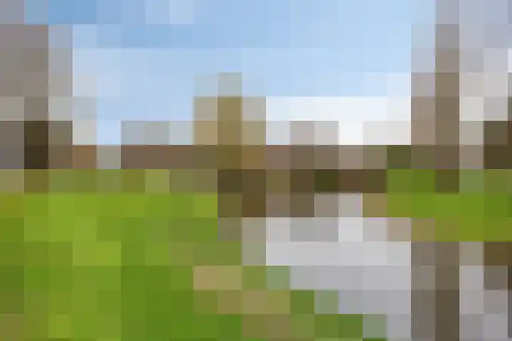 Noordzicht 19 Abbekerk thumbnail 32