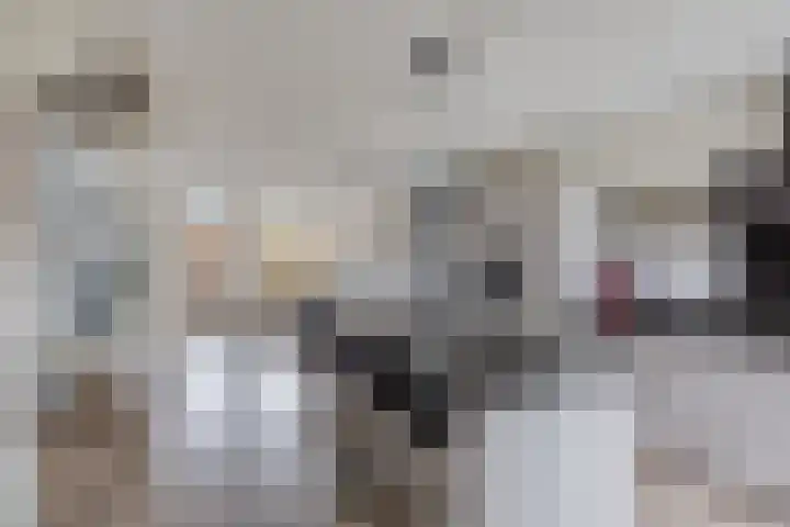 Noordzicht 19 Abbekerk thumbnail 6