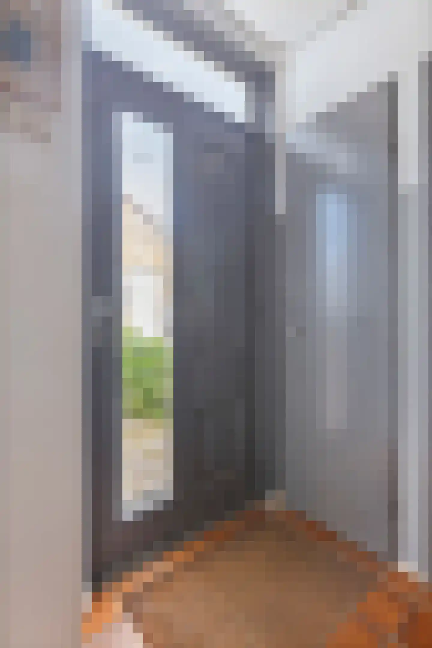 Noordzicht 7 Abbekerk thumbnail 10