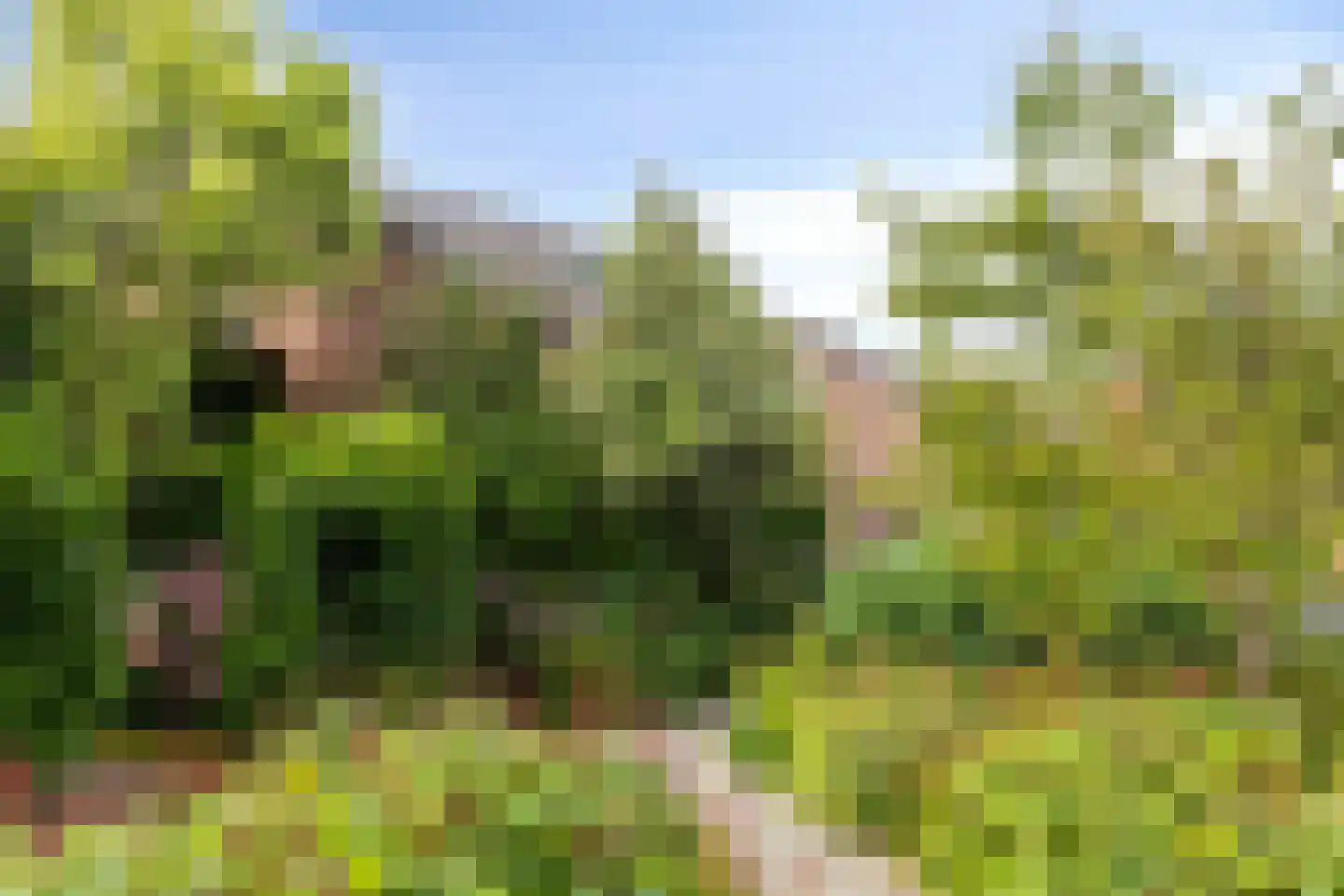 Noordzicht 7 Abbekerk thumbnail 8