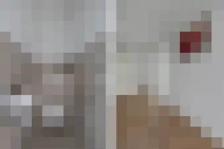 Noordzijde 10 F Emmeloord thumbnail 10