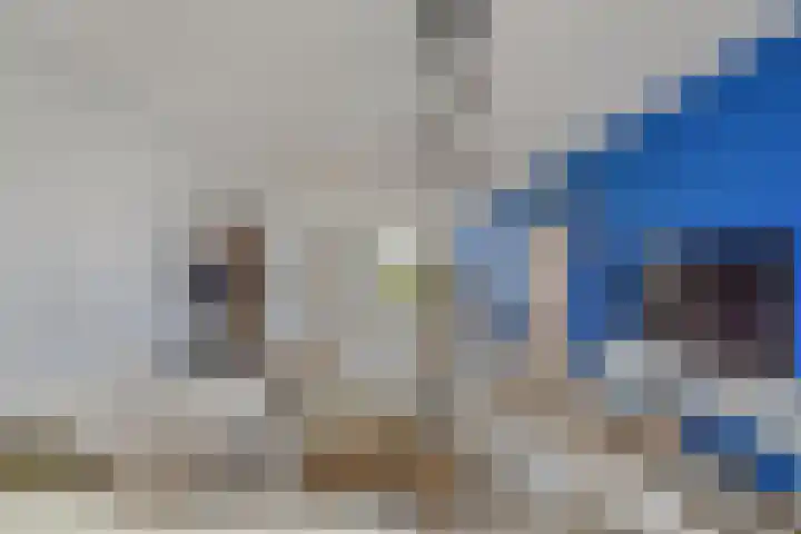 Noordzijde 10 F Emmeloord thumbnail 12