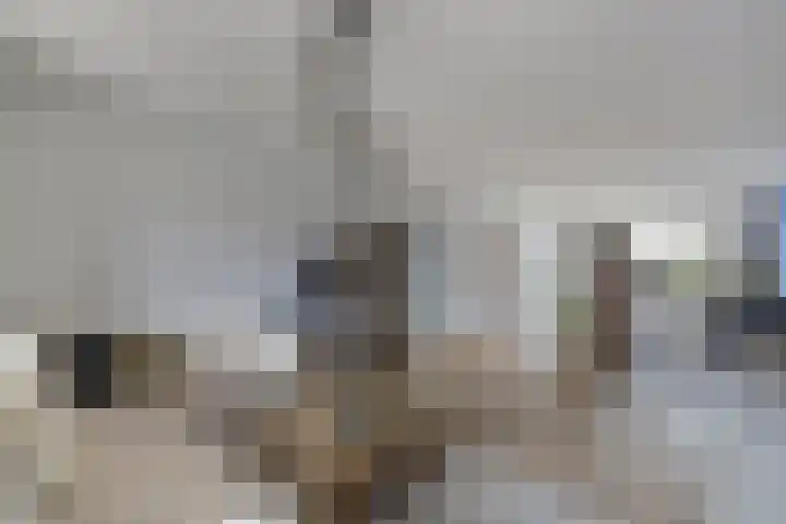 Noordzijde 10 F Emmeloord thumbnail 13