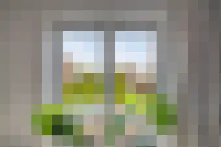 Noordzijde 10 F Emmeloord thumbnail 19