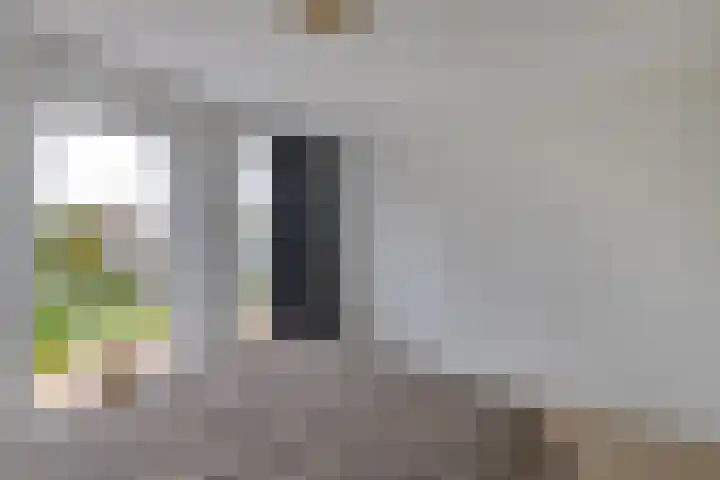 Noordzijde 10 F Emmeloord thumbnail 21
