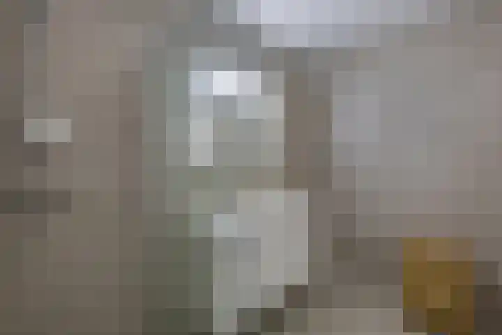 Noordzijde 10 F Emmeloord thumbnail 25