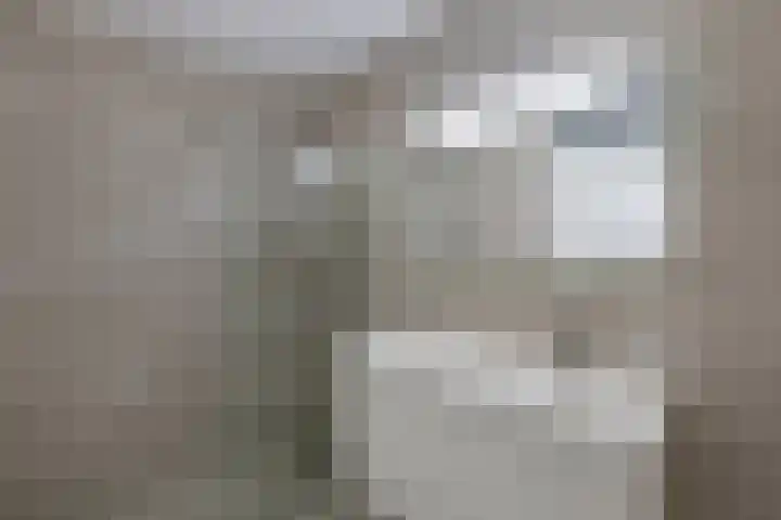 Noordzijde 10 F Emmeloord thumbnail 26