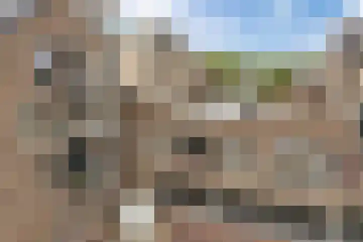 Noordzijde 10 F Emmeloord thumbnail 35