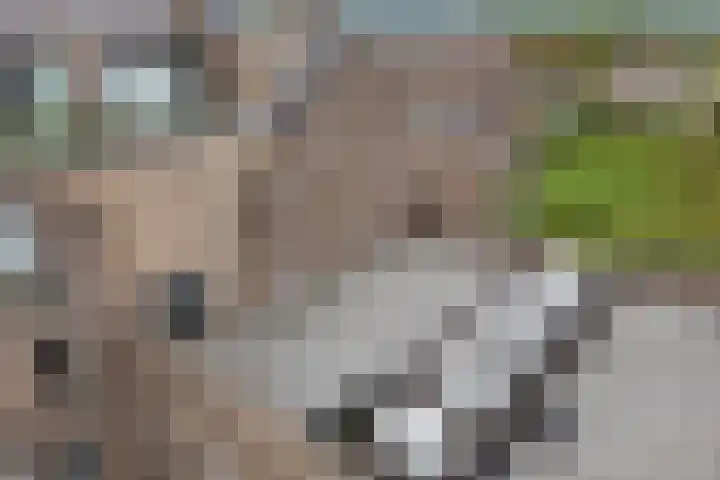 Noordzijde 10 F Emmeloord thumbnail 36