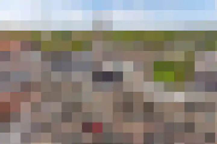 Noordzijde 10 F Emmeloord thumbnail 37