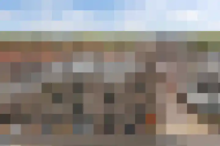 Noordzijde 10 F Emmeloord thumbnail 38