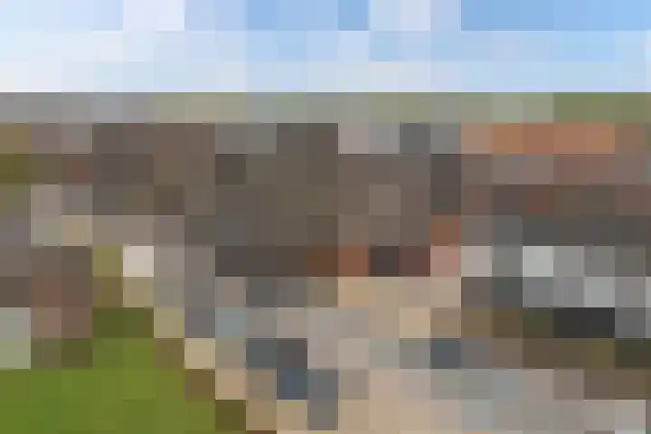 Noordzijde 10 F Emmeloord thumbnail 39