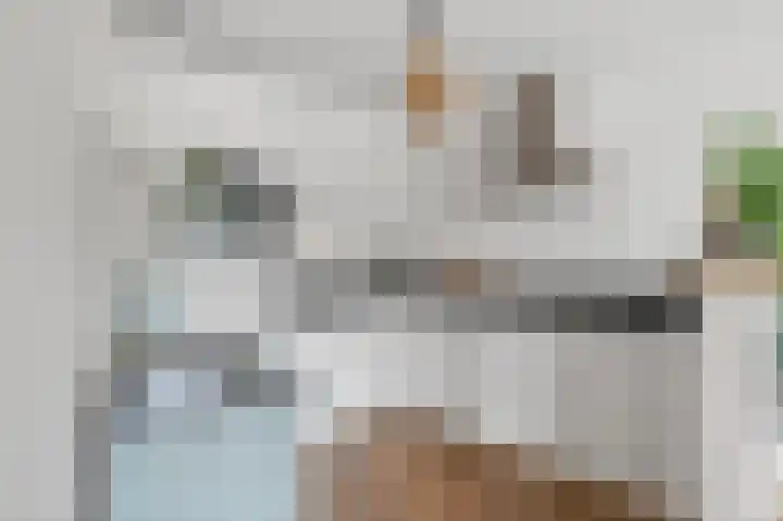 Noordzijde 101 Amsterdam thumbnail 5