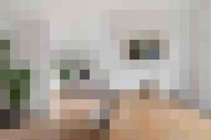 Noordzijde 101 Amsterdam thumbnail 9