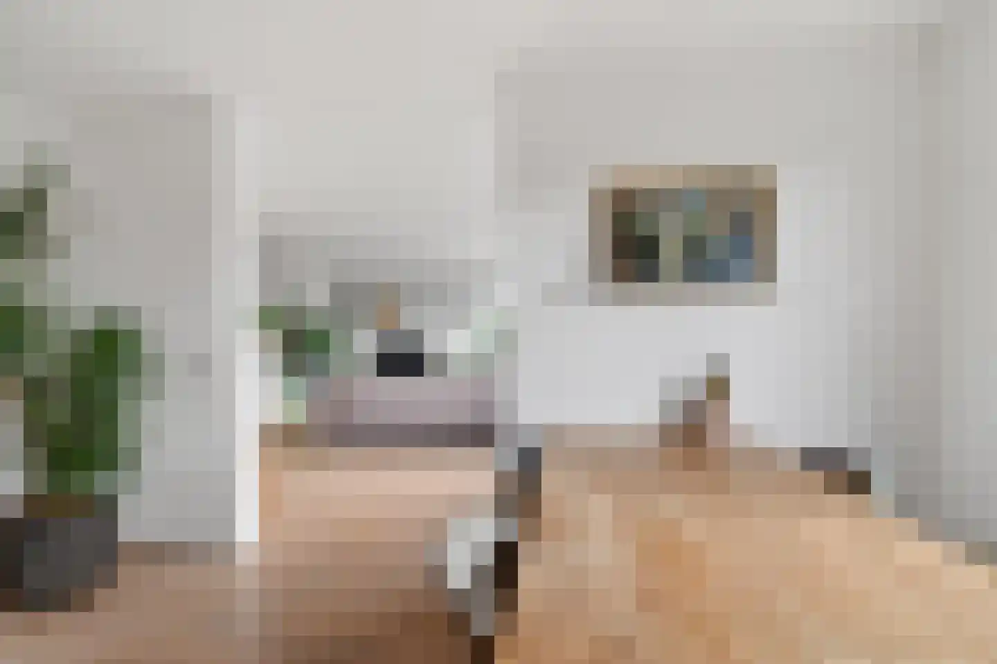 Noordzijde 101 Amsterdam thumbnail 9