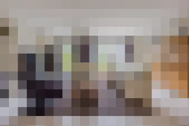 Noordzijde 116 b Bodegraven thumbnail 17