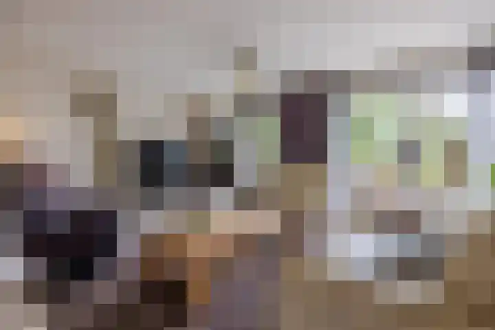 Noordzijde 116 b Bodegraven thumbnail 18