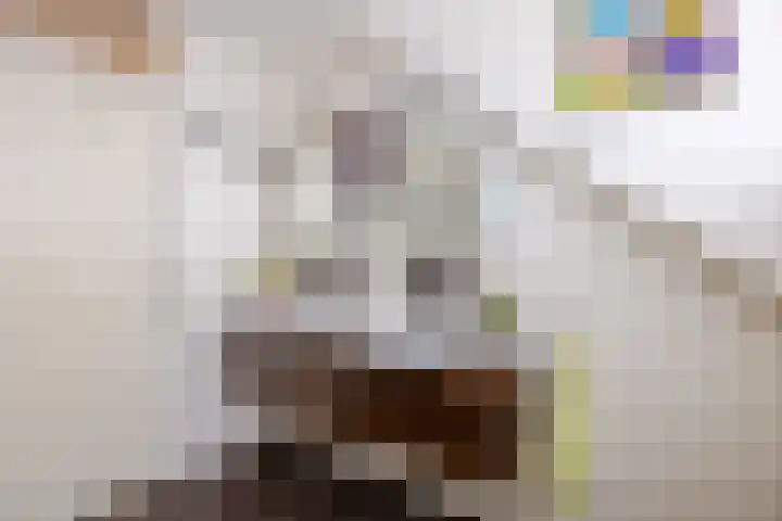 Noordzijde 116 b Bodegraven thumbnail 30