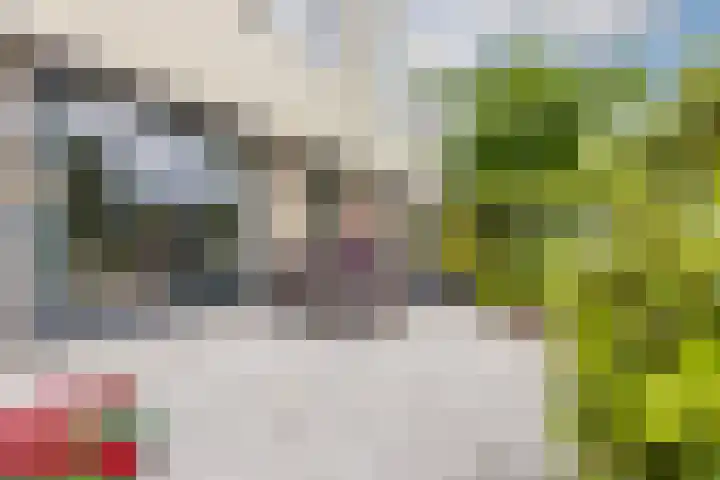Noordzijde 116 b Bodegraven thumbnail 41