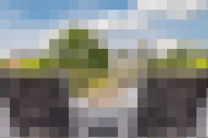 Noordzijde 116 b Bodegraven thumbnail 43