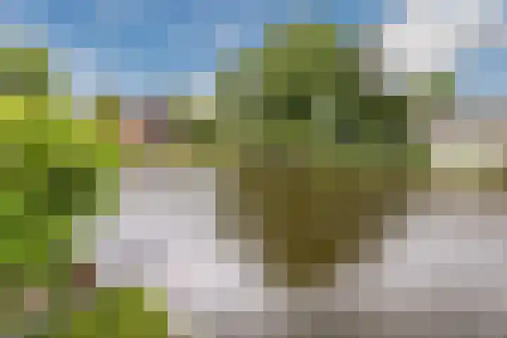 Noordzijde 116 b Bodegraven thumbnail 44