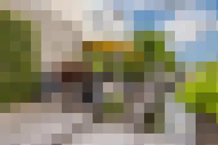Noordzijde 116 b Bodegraven thumbnail 45