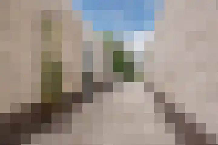 Noordzijde 116 b Bodegraven thumbnail 46