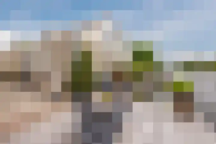 Noordzijde 116 b Bodegraven thumbnail 47
