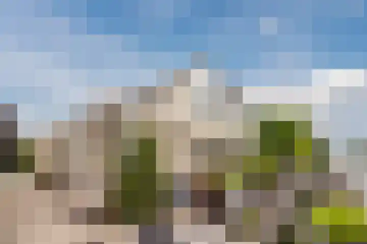 Noordzijde 116 b Bodegraven thumbnail 48