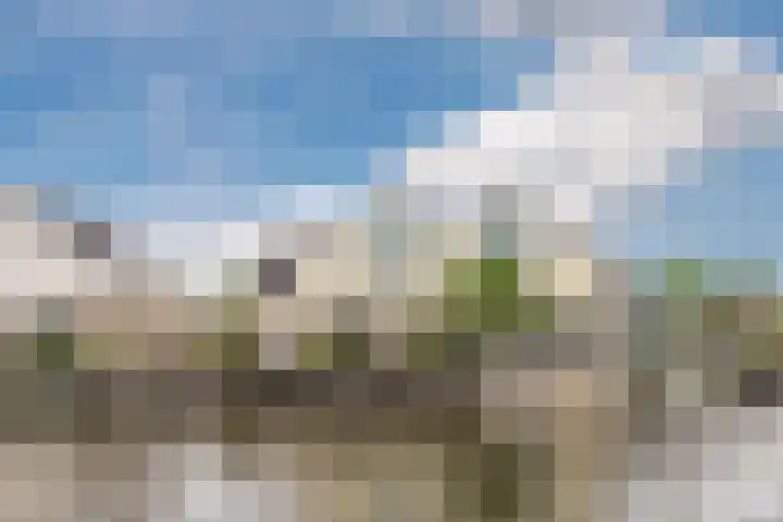 Noordzijde 116 b Bodegraven thumbnail 5