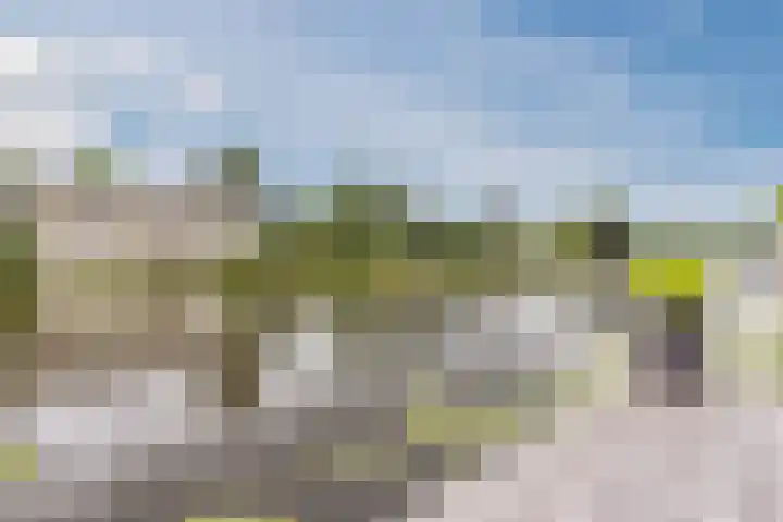 Noordzijde 116 b Bodegraven thumbnail 51