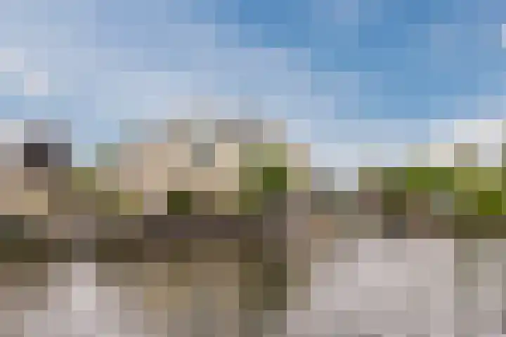 Noordzijde 116 b Bodegraven thumbnail 52