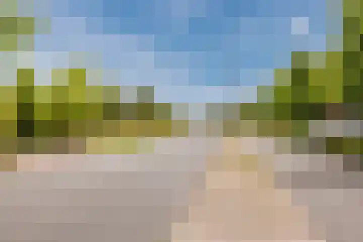 Noordzijde 116 b Bodegraven thumbnail 56