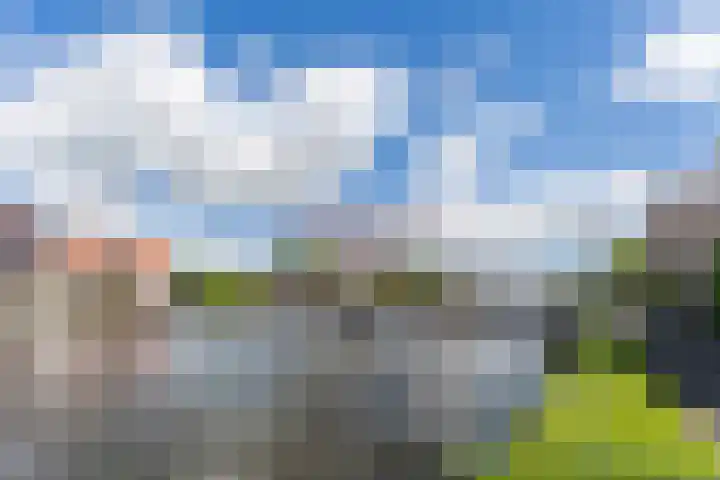 Noordzijde 116 b Bodegraven thumbnail 57