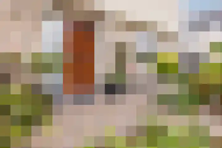 Noordzijde 116 b Bodegraven thumbnail 7