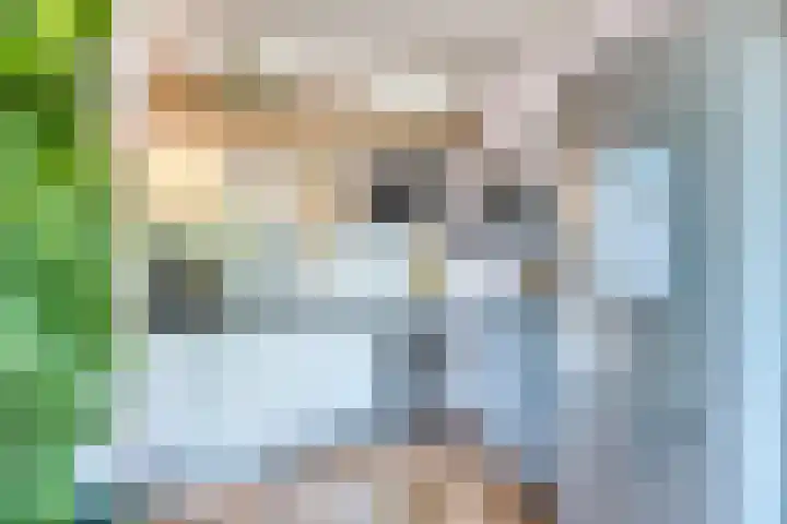 Noordzijde 125 Amsterdam thumbnail 12
