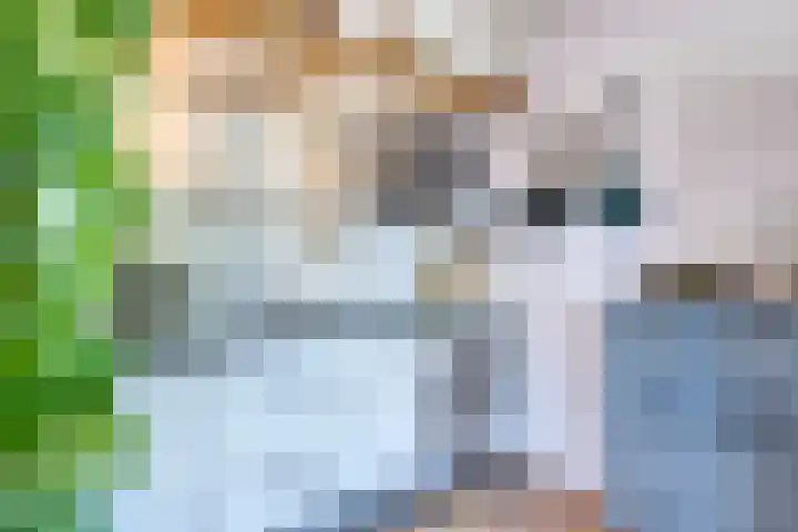 Noordzijde 125 Amsterdam thumbnail 14