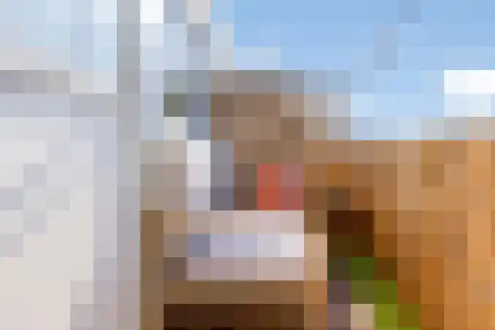 Noordzijde 125 Amsterdam thumbnail 22