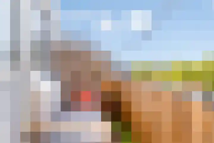 Noordzijde 125 Amsterdam thumbnail 23