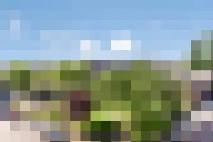 Noordzijde 125 Amsterdam thumbnail 24