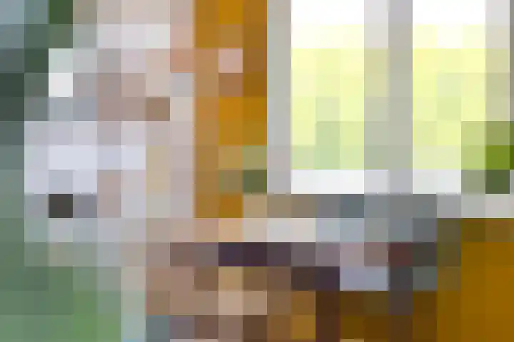 Noordzijde 125 Amsterdam thumbnail 9