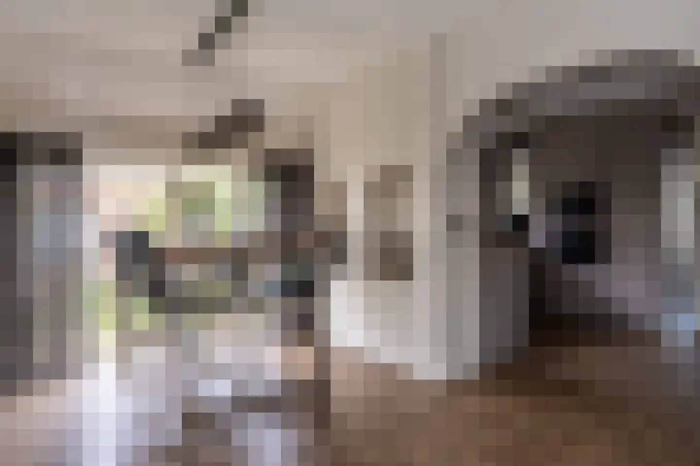 Noordzijde 193 Gasselternijveenschemond thumbnail 10