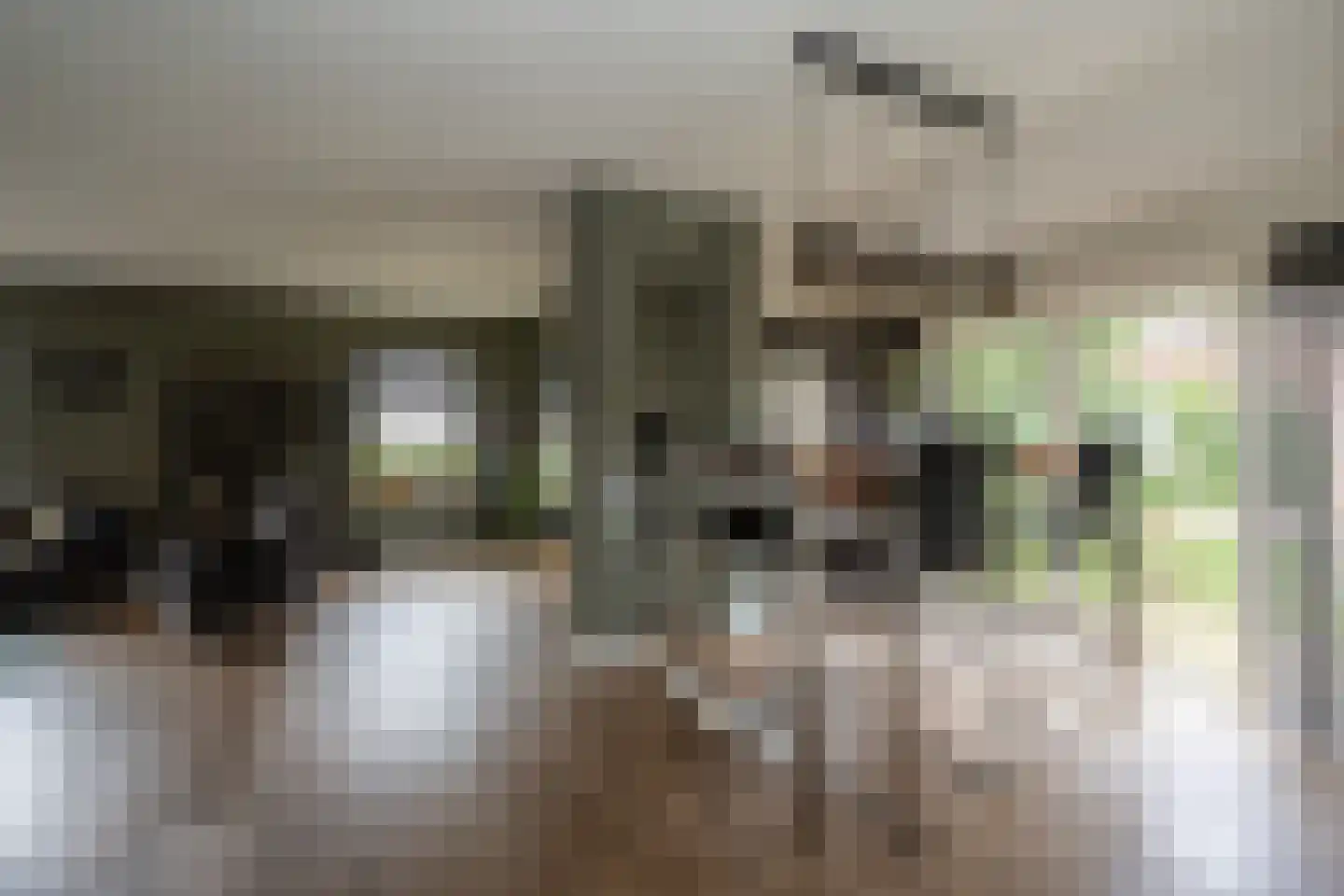 Noordzijde 193 Gasselternijveenschemond thumbnail 11