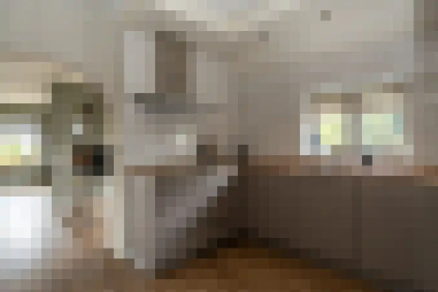 Noordzijde 193 Gasselternijveenschemond thumbnail 14