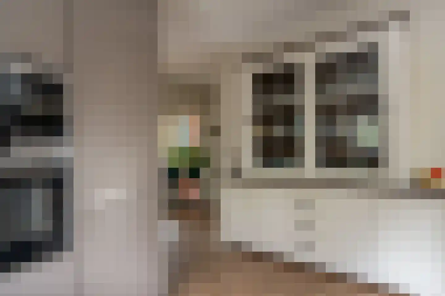 Noordzijde 193 Gasselternijveenschemond thumbnail 15