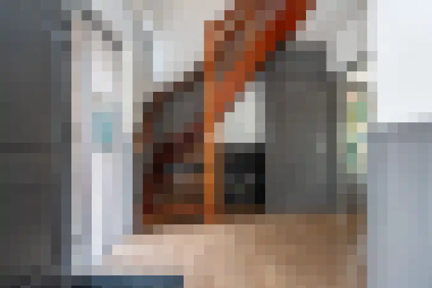Noordzijde 193 Gasselternijveenschemond thumbnail 26