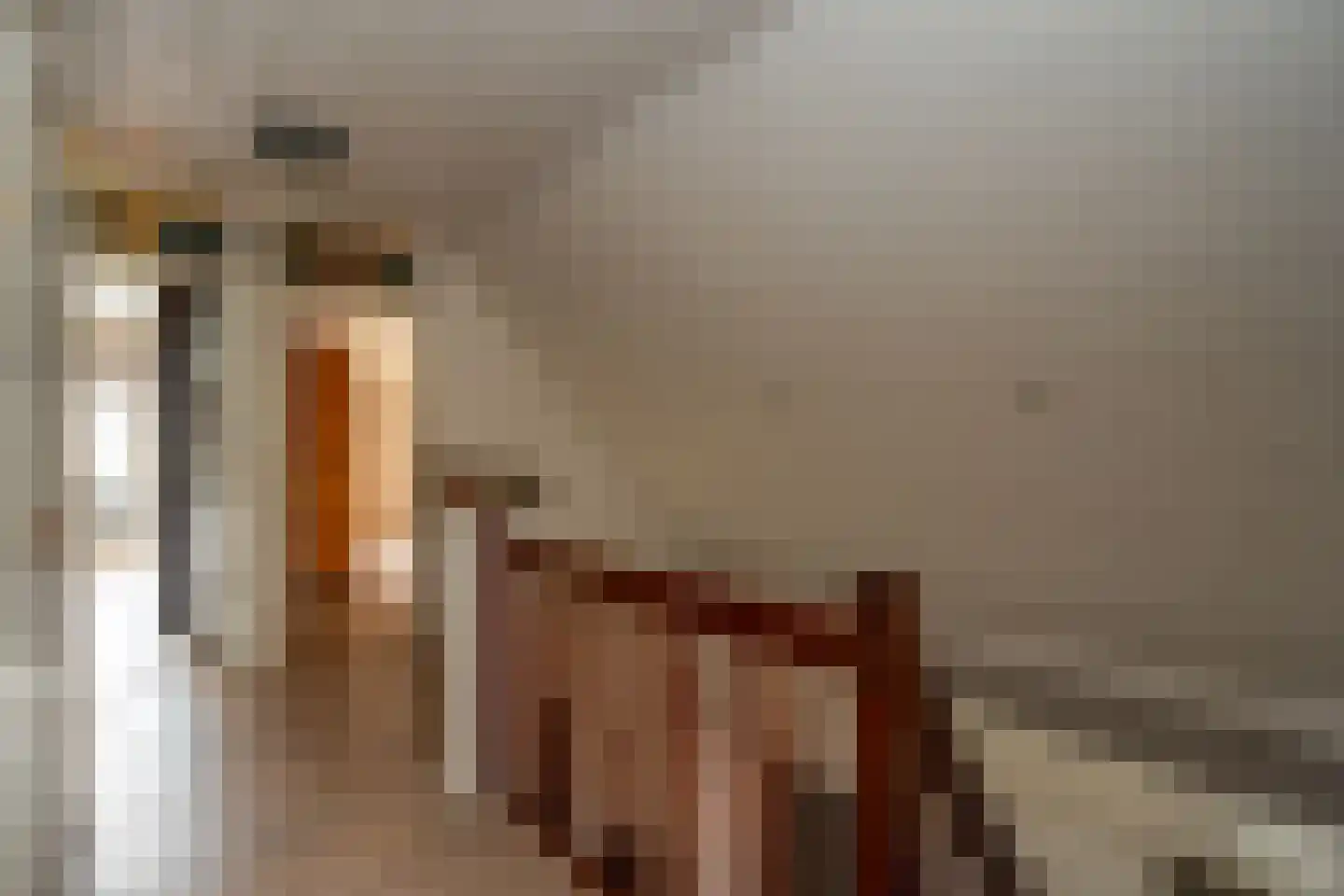 Noordzijde 193 Gasselternijveenschemond thumbnail 27