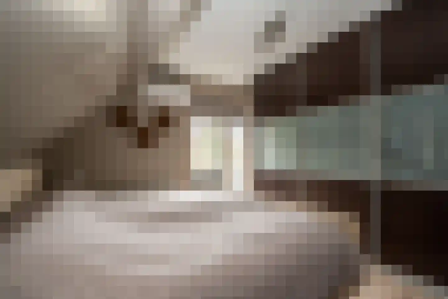 Noordzijde 193 Gasselternijveenschemond thumbnail 30